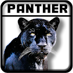 Cover Image of Baixar Real Black Panther Simulator 1.0 APK