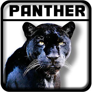 Real Black Panther Simulator Hacks and cheats