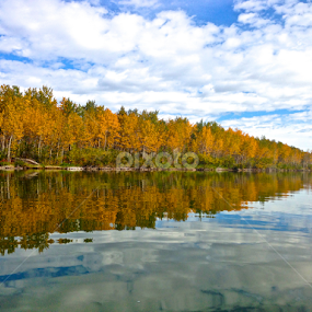 Lakeside Reflections by Doug & Coleen Walkey - Instagram & Mobile iPhone
