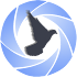Portrait Lens1.2.1