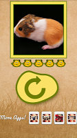 What hamster are you? APK تصویر نماگرفت #3