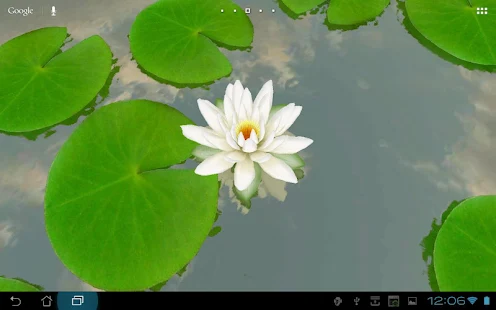 3D Lotus Pond Live Wallpaper Free