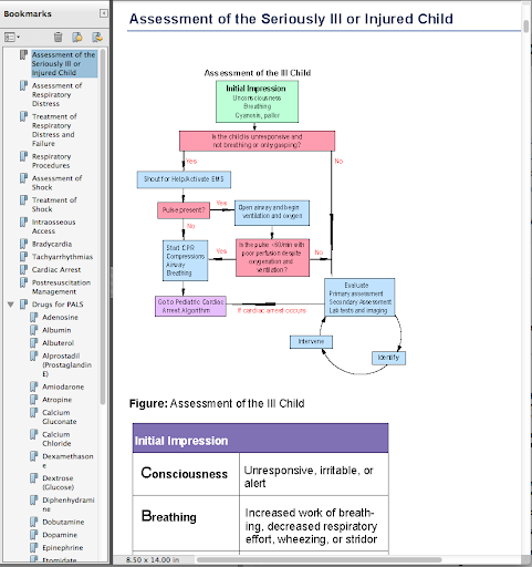 PALS Provider Manual