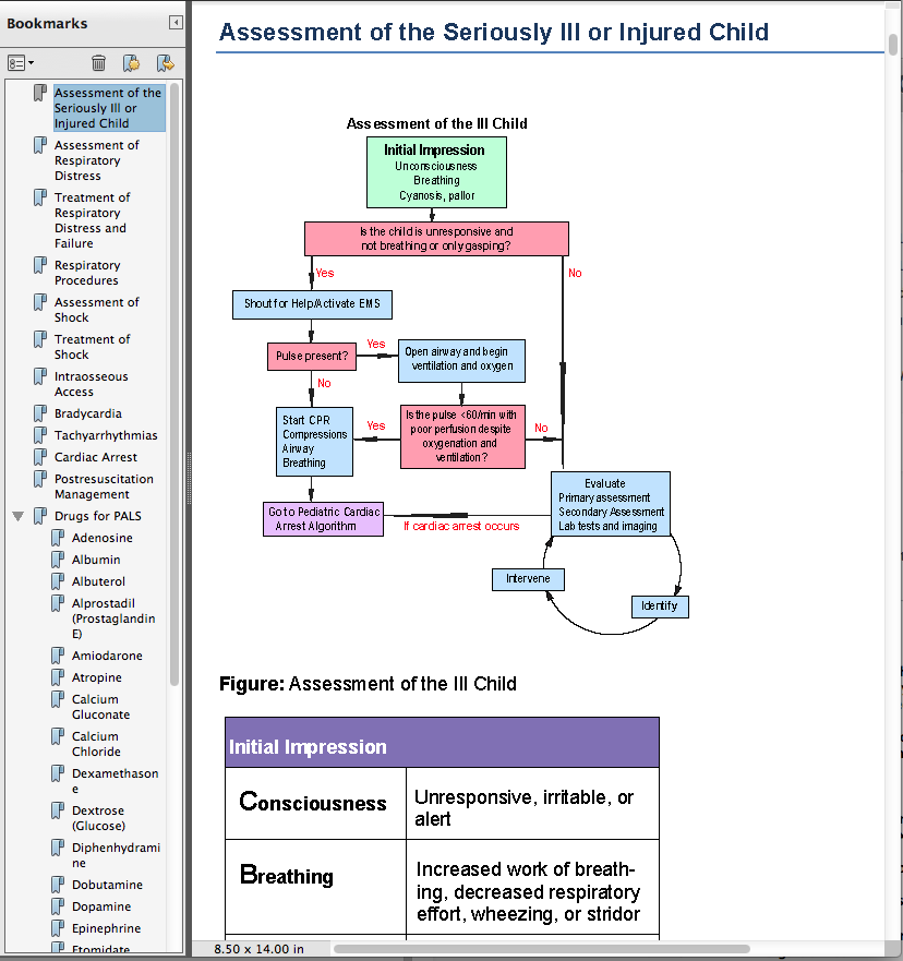 PALS Provider Manual Screen 1