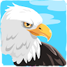 Bird Trivia Game icon