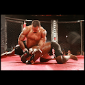 Fun sports : Freefight logo