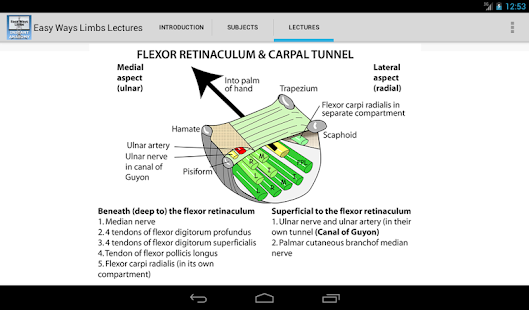 Free Download Easy Ways Limbs APK for PC