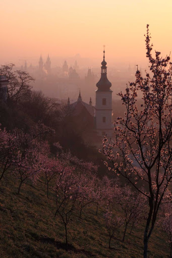 Czech-Prague-countryside - A distant view of Prague, one of Europe's most beautiful cities.