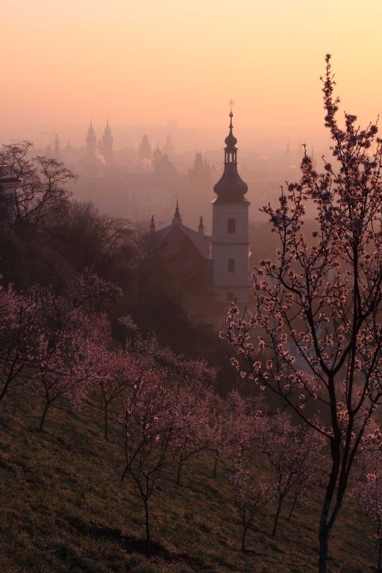 A distant view of Prague, one of Europe's most beautiful cities.