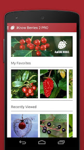 Wild Berries and Herbs 2 LITE(圖2)-速報App