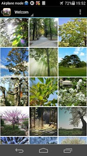 Download Spring Tree Wallpaper APK for Android