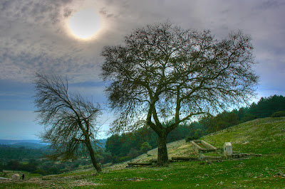 IMG_1815_hdr.jpg