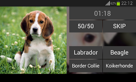 Guess the puppy poster 7