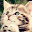 PopCats Download on Windows