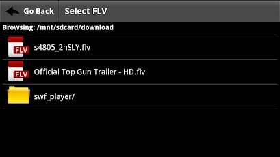 FLV Video Player