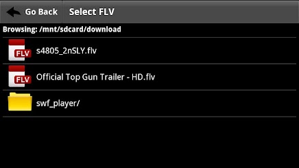 FLV Video Player