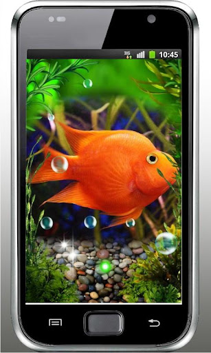 Aquarium Fishes live wallpaper