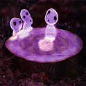 Kodama 3D Live Wallpaper logo
