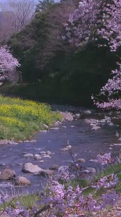 How to mod Spring River Live WallPaper lastet apk for bluestacks