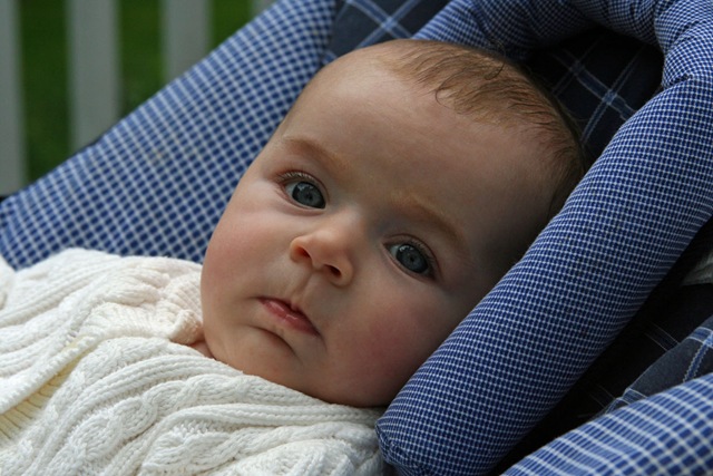 [EllenJune08_1736[2].jpg]