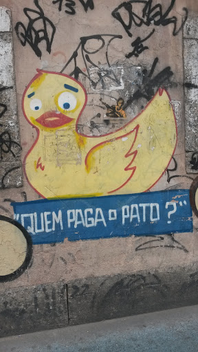 Quem Paga O Pato