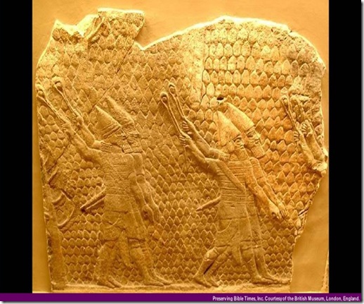 Assyrian Slingers