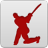 Cricket IPL 2011 icon