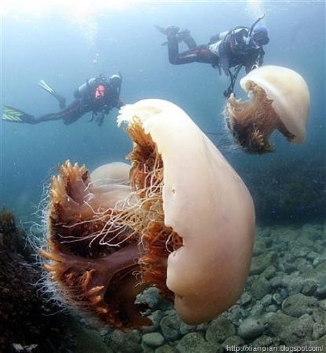 [image002[2].jpg]