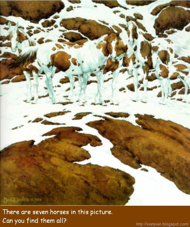 [horses[2].jpg]