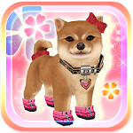 Cover Image of Download My Dog My Style 1.8.6 APK