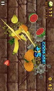 download Fruit Slice free