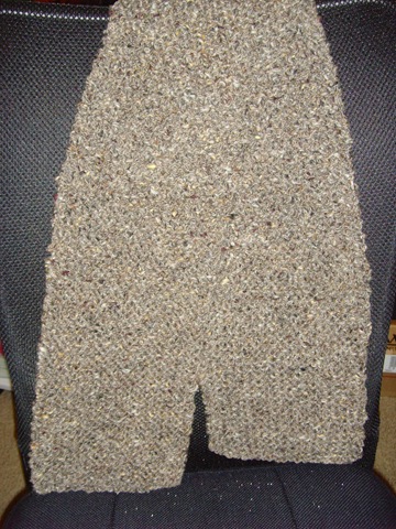 [Tony's Scarf 2008[2].jpg]