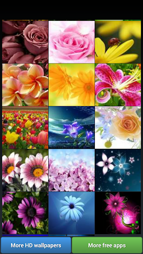免費下載生活APP|Flowers HD Wallpapers app開箱文|APP開箱王