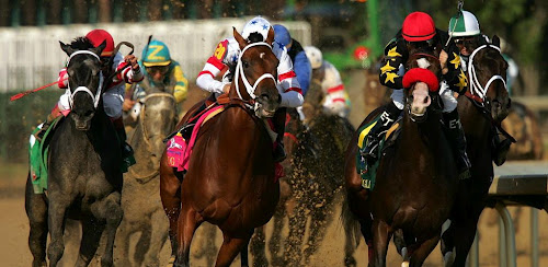 Horse racing: FREE GAME 1.0