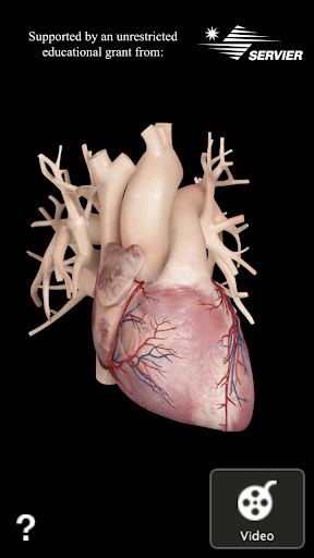 Cardiological