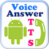 TTS Voice Auto Answer0.5.19
