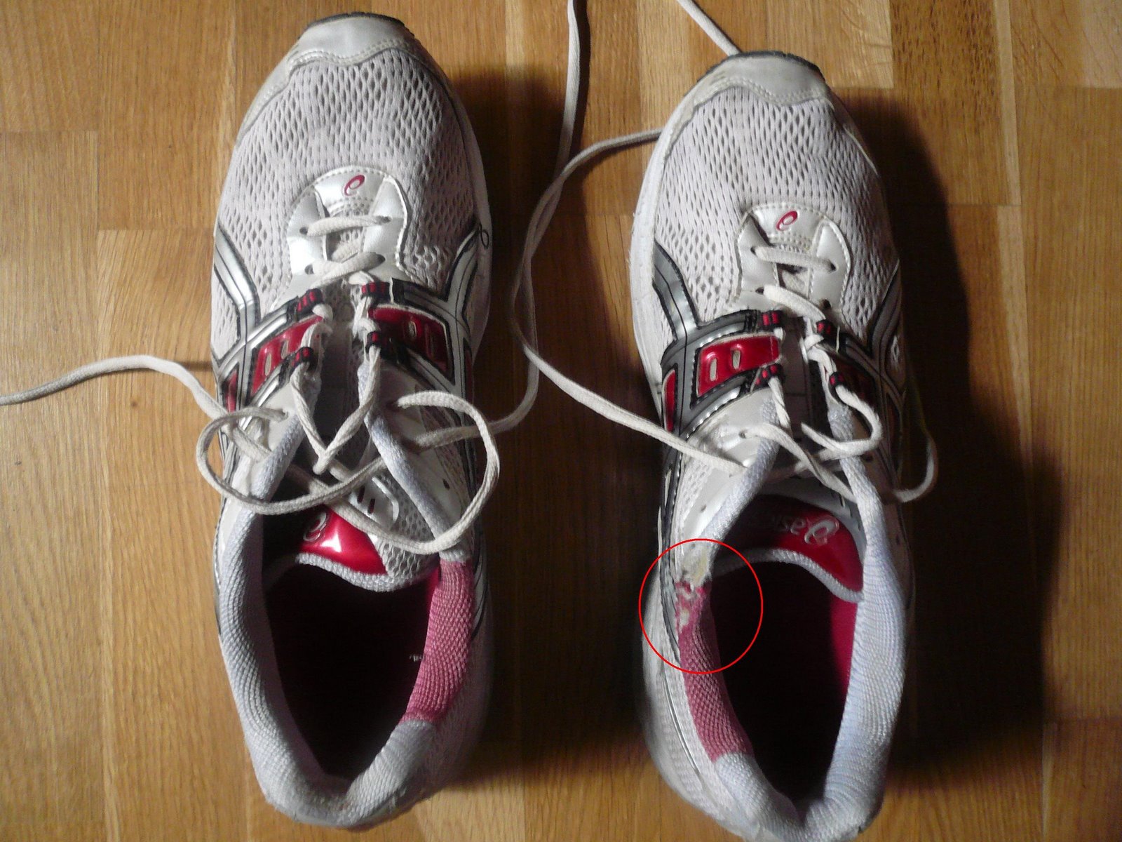 [P1020827bis[2].jpg]