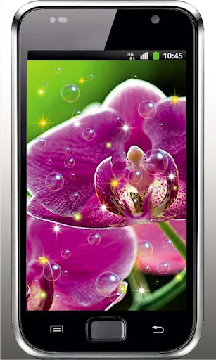 Orchid Flowers live wallpaper