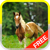 Real Horse Racing Games