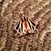 Nais Tiger Moth
