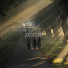 Ray of Hope by Sai Kiran - City,  Street & Park Street Scenes