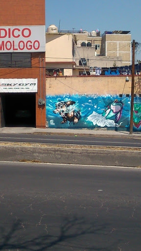 Mural Perro Y Pez.en El Agua