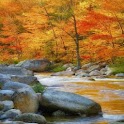 Beautiful Landscape Pics logo