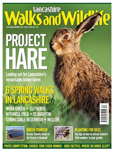 Lancashire Walks Wildlife