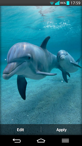 Dolphin Live Wallpaper