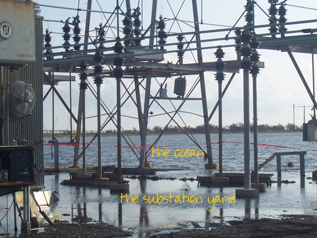 [100_0999 copy[4].jpg]