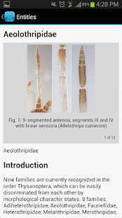 Pest Thrips of East Africa(圖7)-速報App