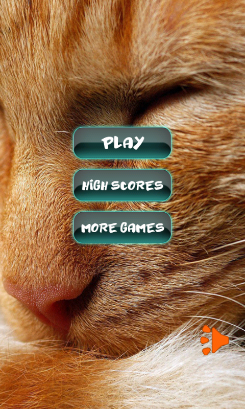 cat puzzles online