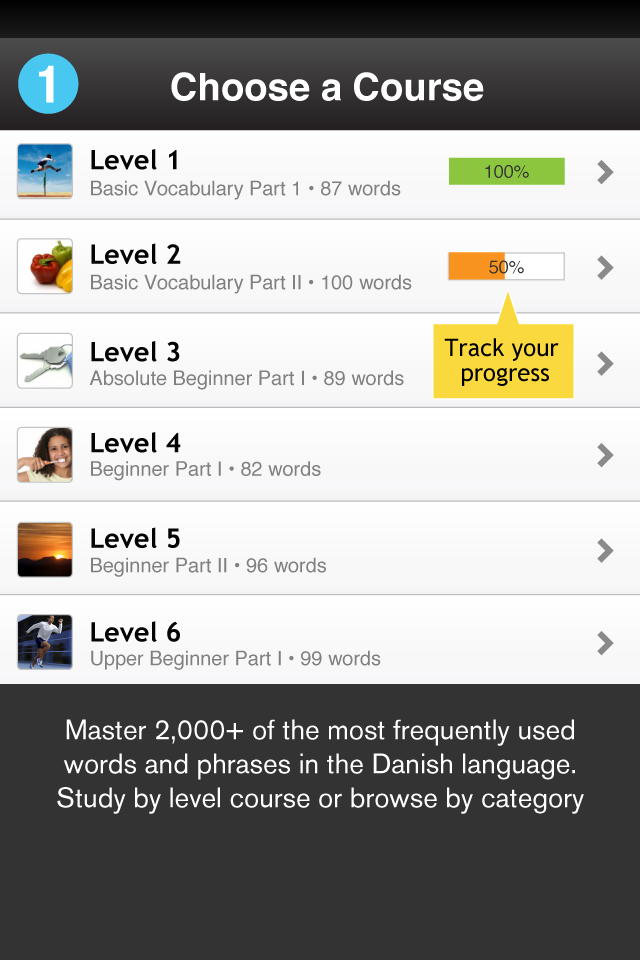 Learn Danish WordPower Screen 1
