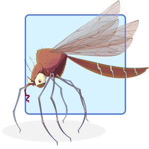 Malaria Mosquito Predator Slay.apk 1.1